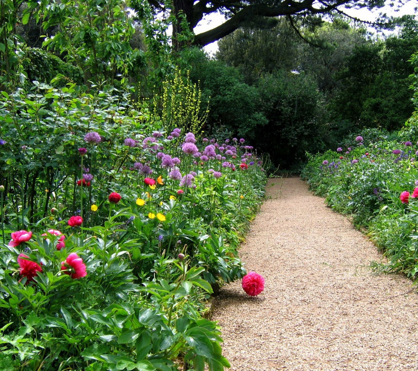 Hidcote Garden Cotswolds Gloucestershire