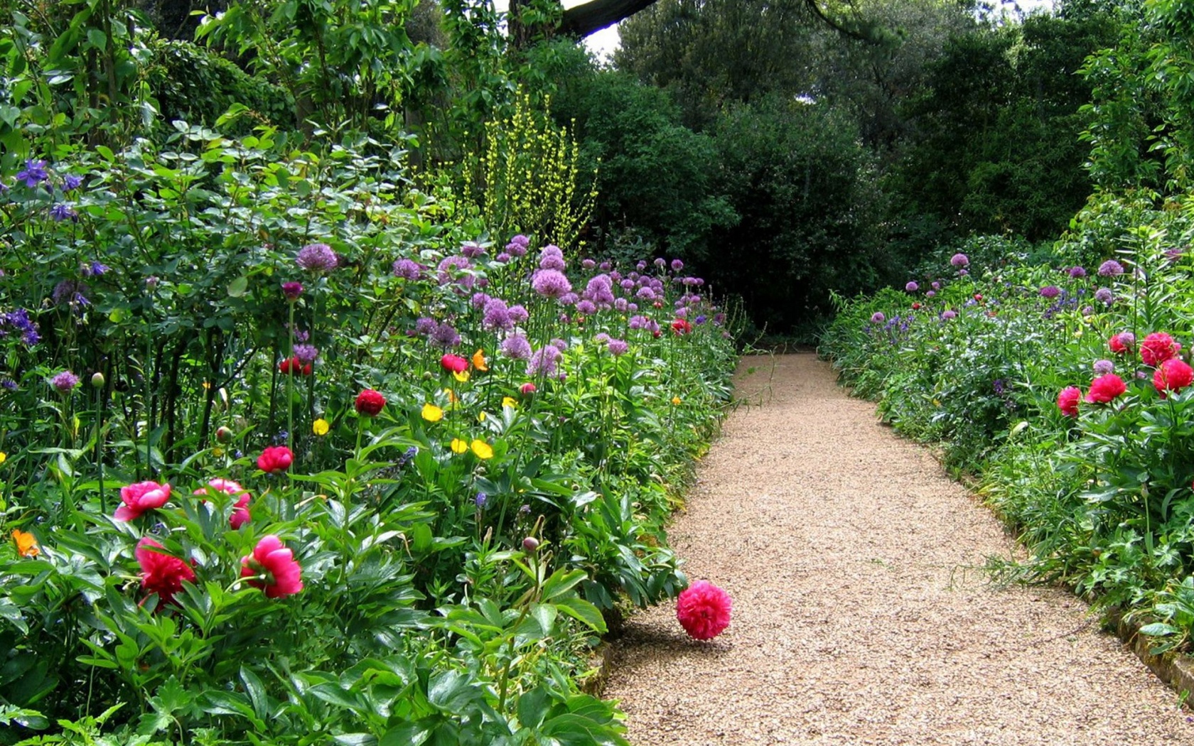 Hidcote Garden Cotswolds Gloucestershire