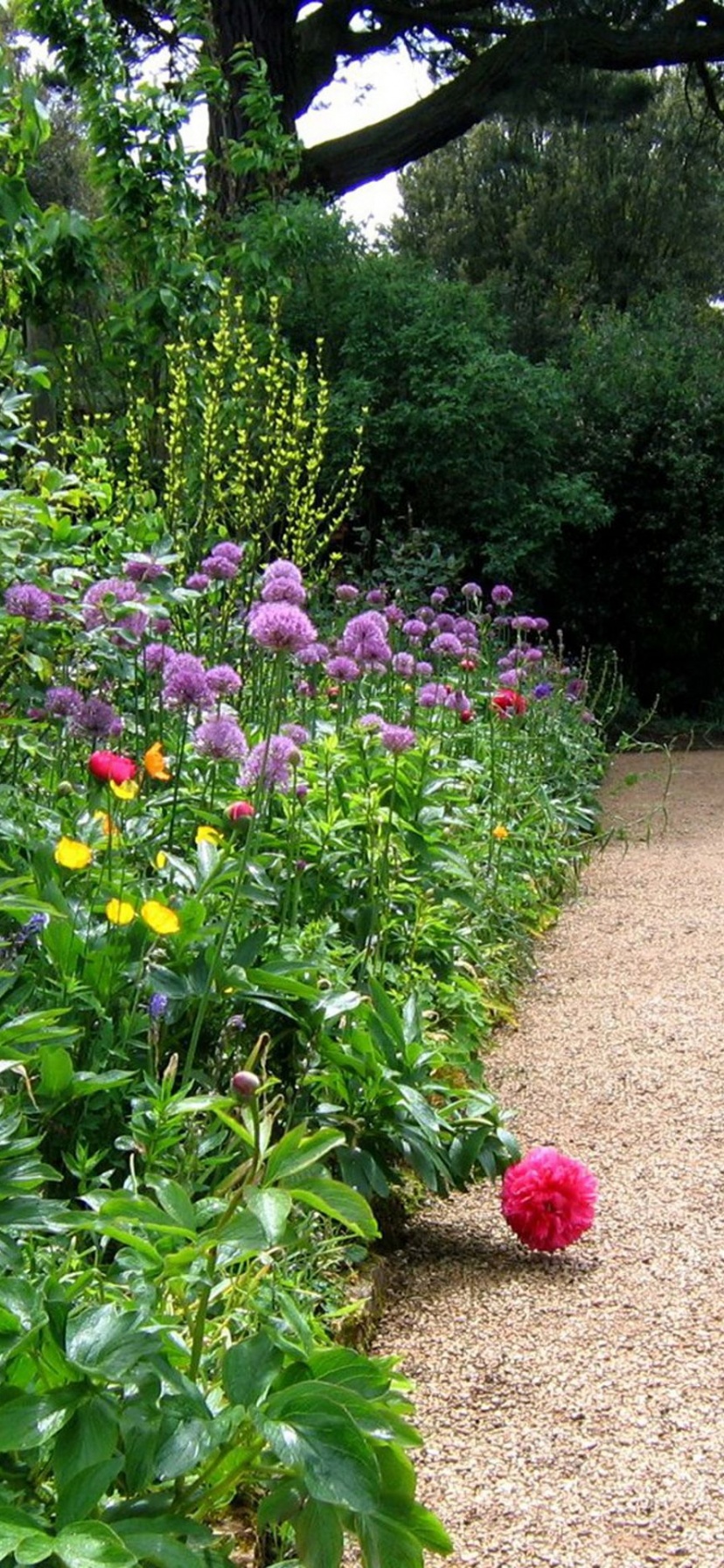 Hidcote Garden Cotswolds Gloucestershire