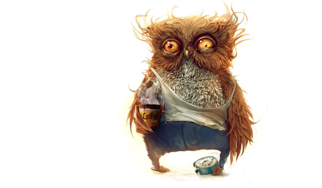 Hobo Owl