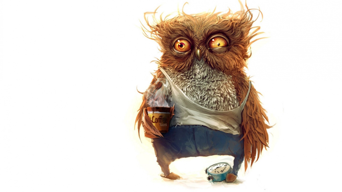 Hobo Owl