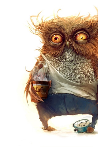 Hobo Owl