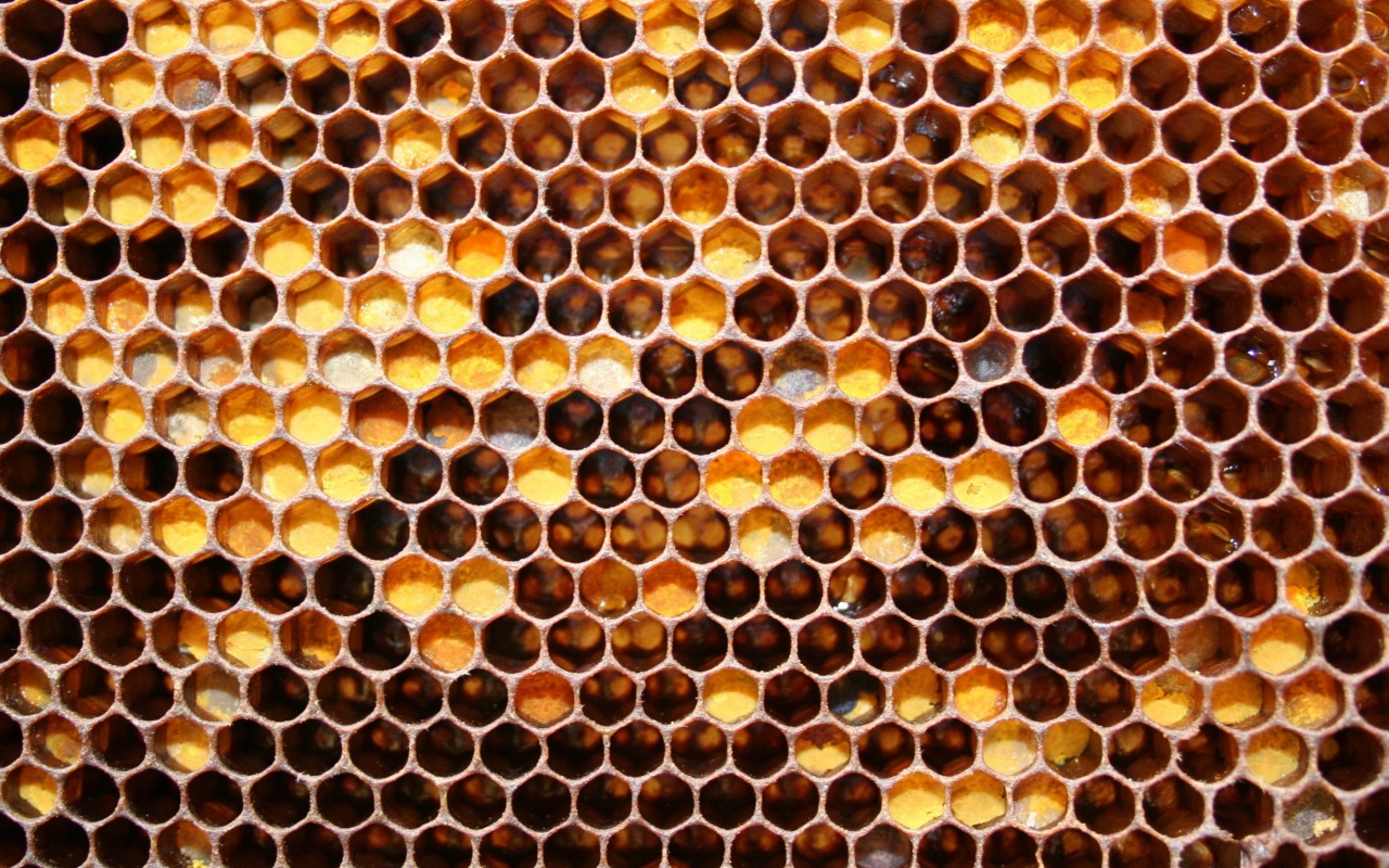 Honeycomb