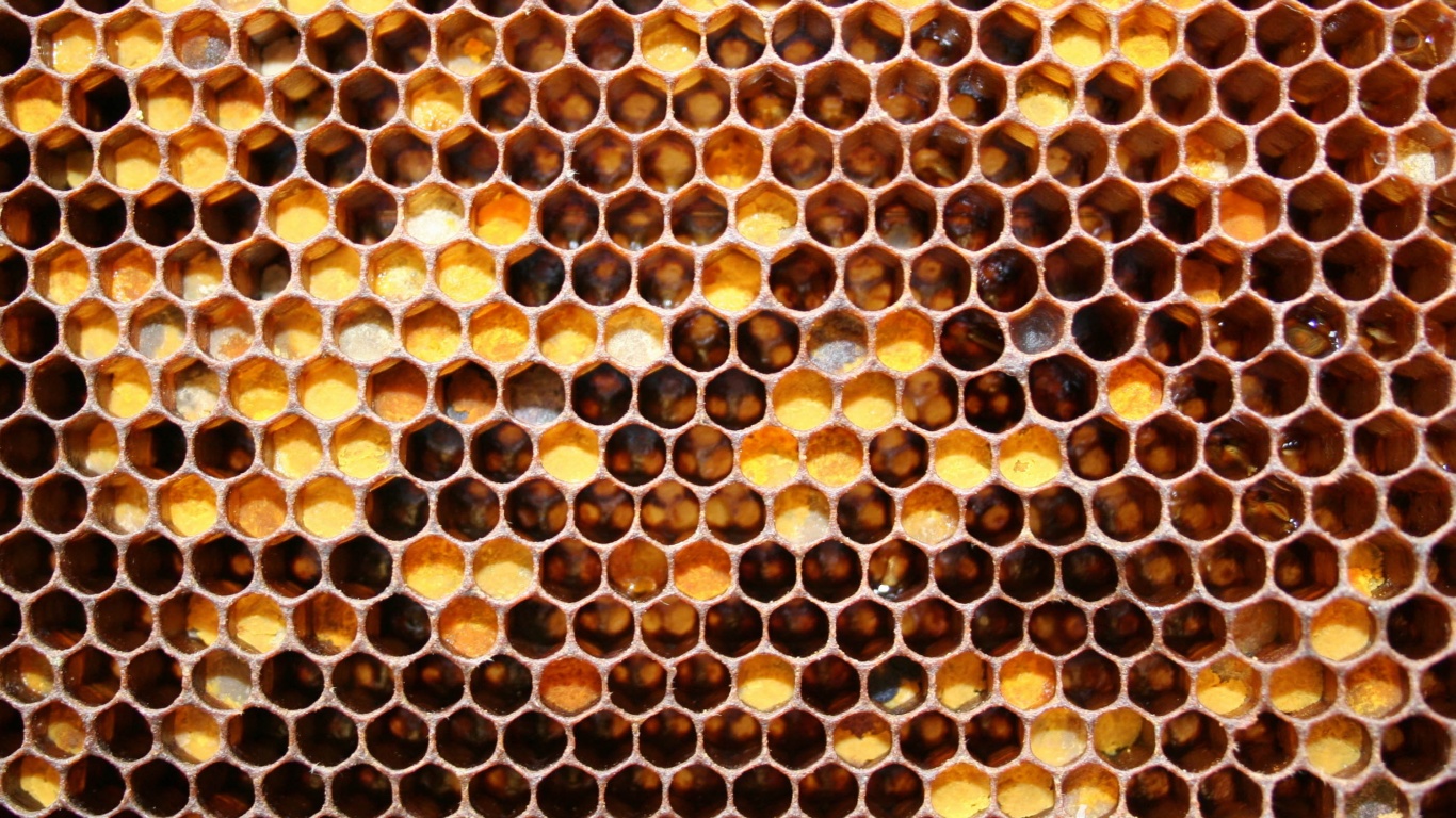 Honeycomb