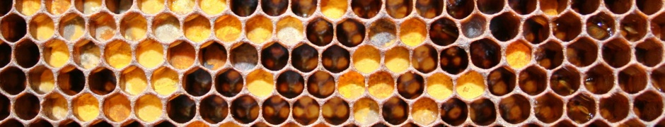 Honeycomb