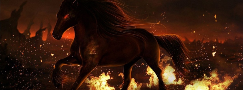 Horse Fire Field Eyes