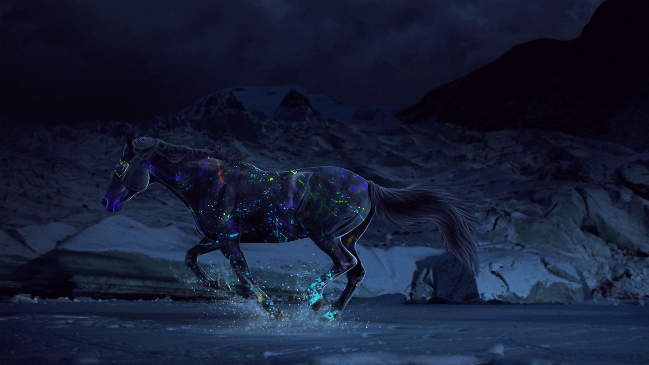 Horse Paints Water Gallop Night