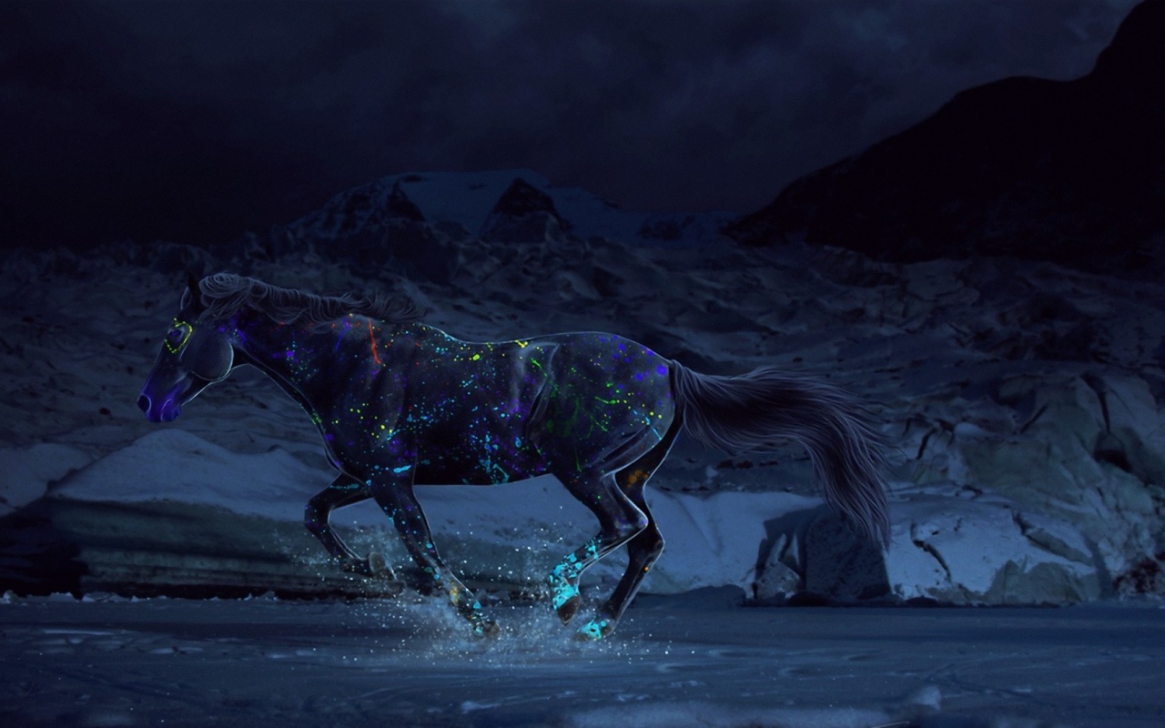 Horse Paints Water Gallop Night