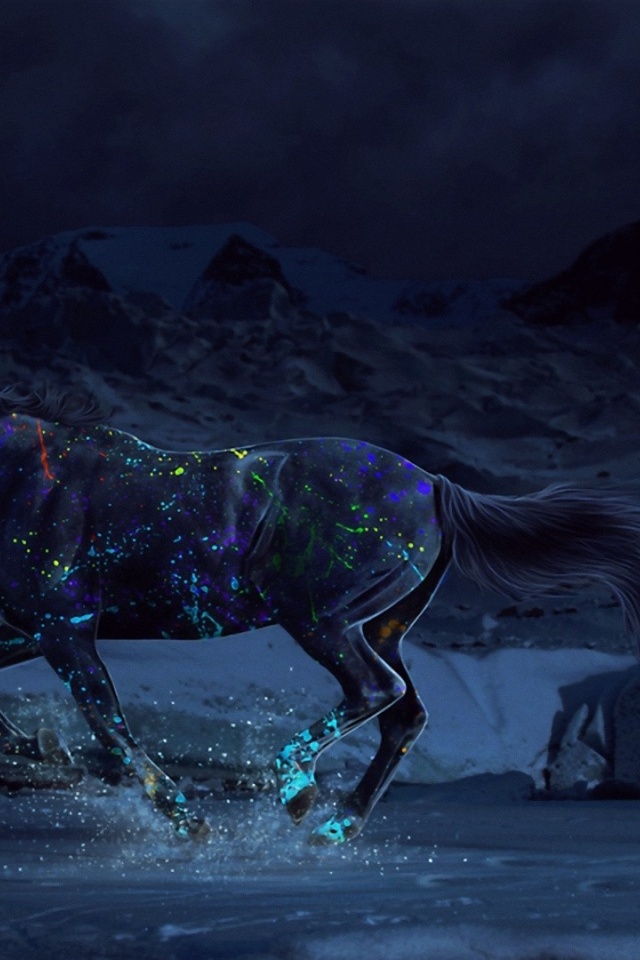 Horse Paints Water Gallop Night