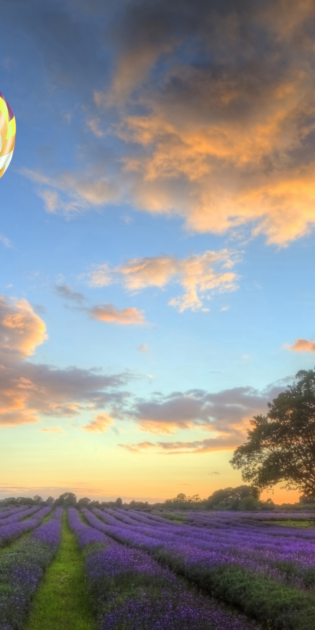 Hot Air Balloons Flying Over Land