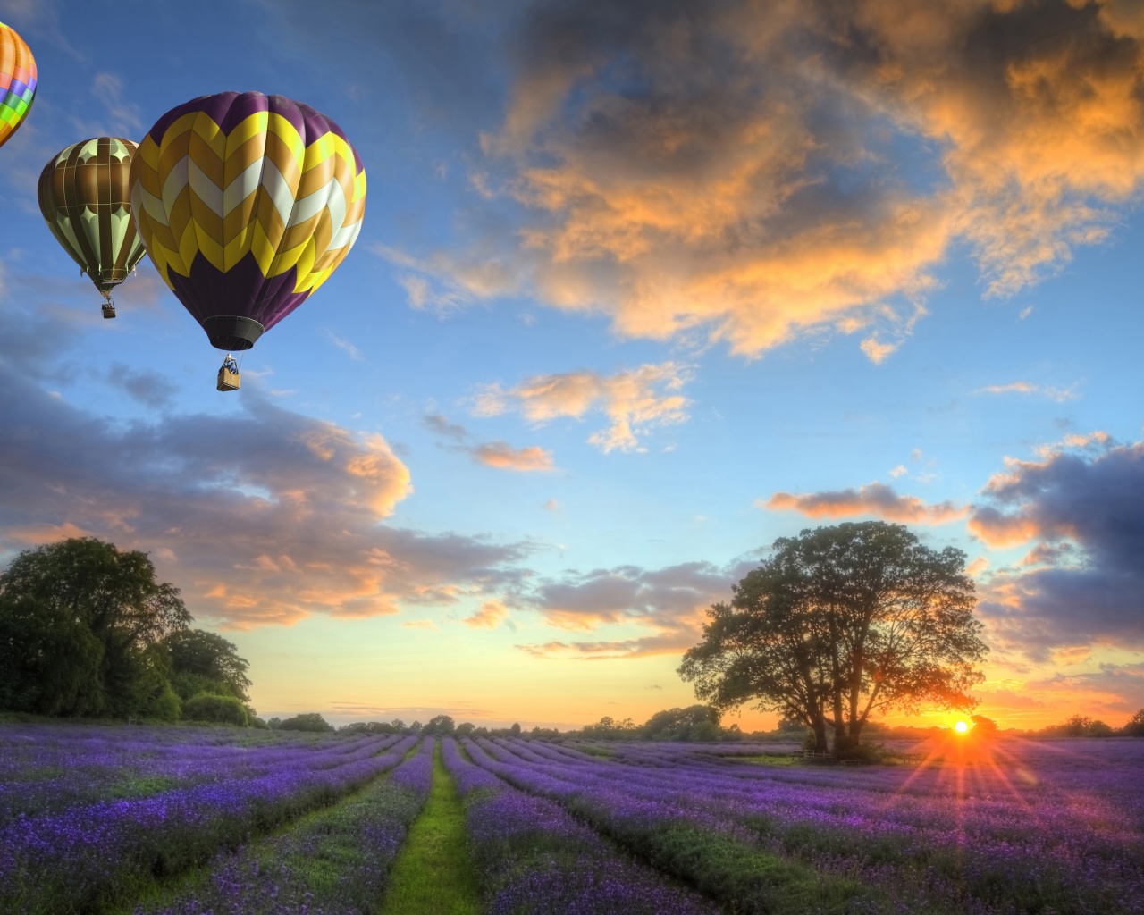 Hot Air Balloons Flying Over Land