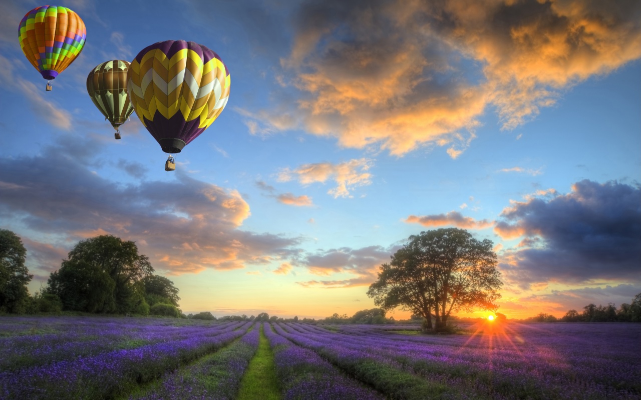 Hot Air Balloons Flying Over Land