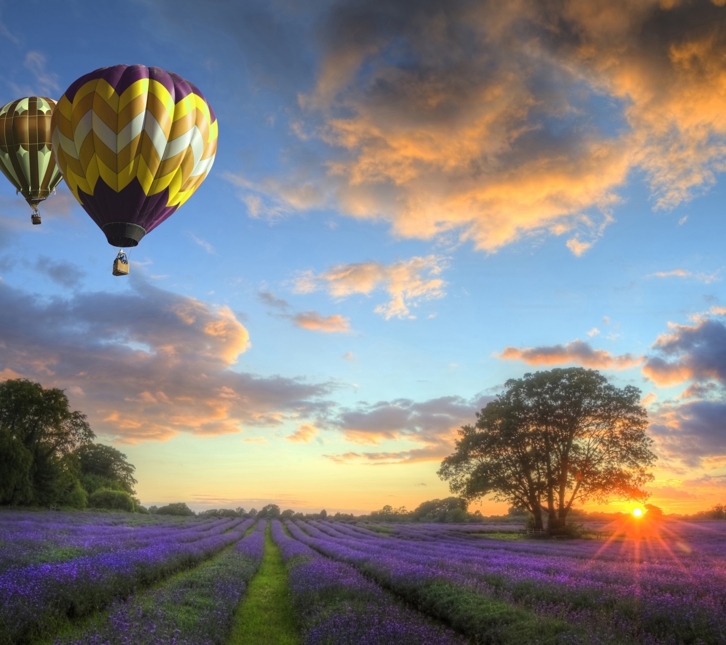 Hot Air Balloons Flying Over Land