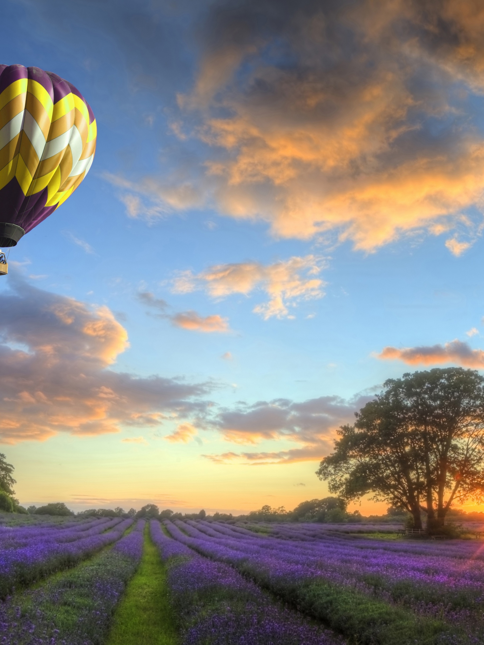 Hot Air Balloons Flying Over Land