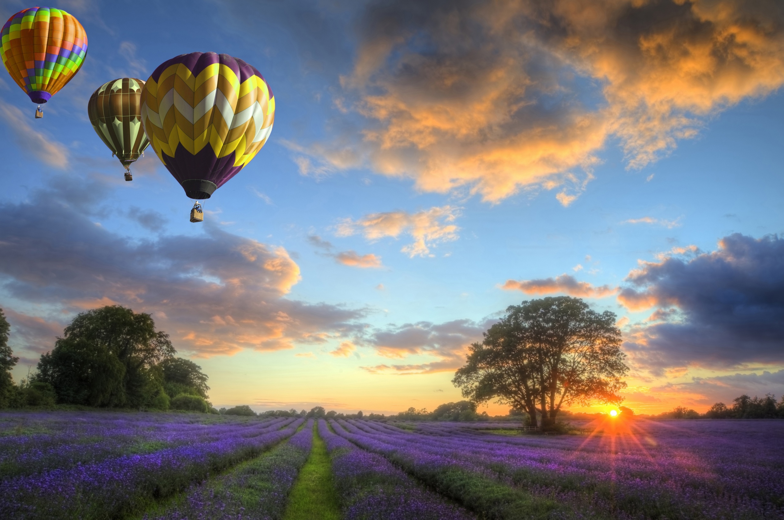 Hot Air Balloons Flying Over Land