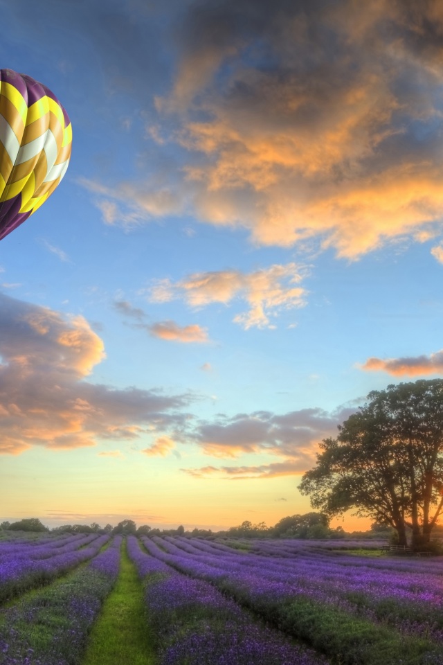 Hot Air Balloons Flying Over Land