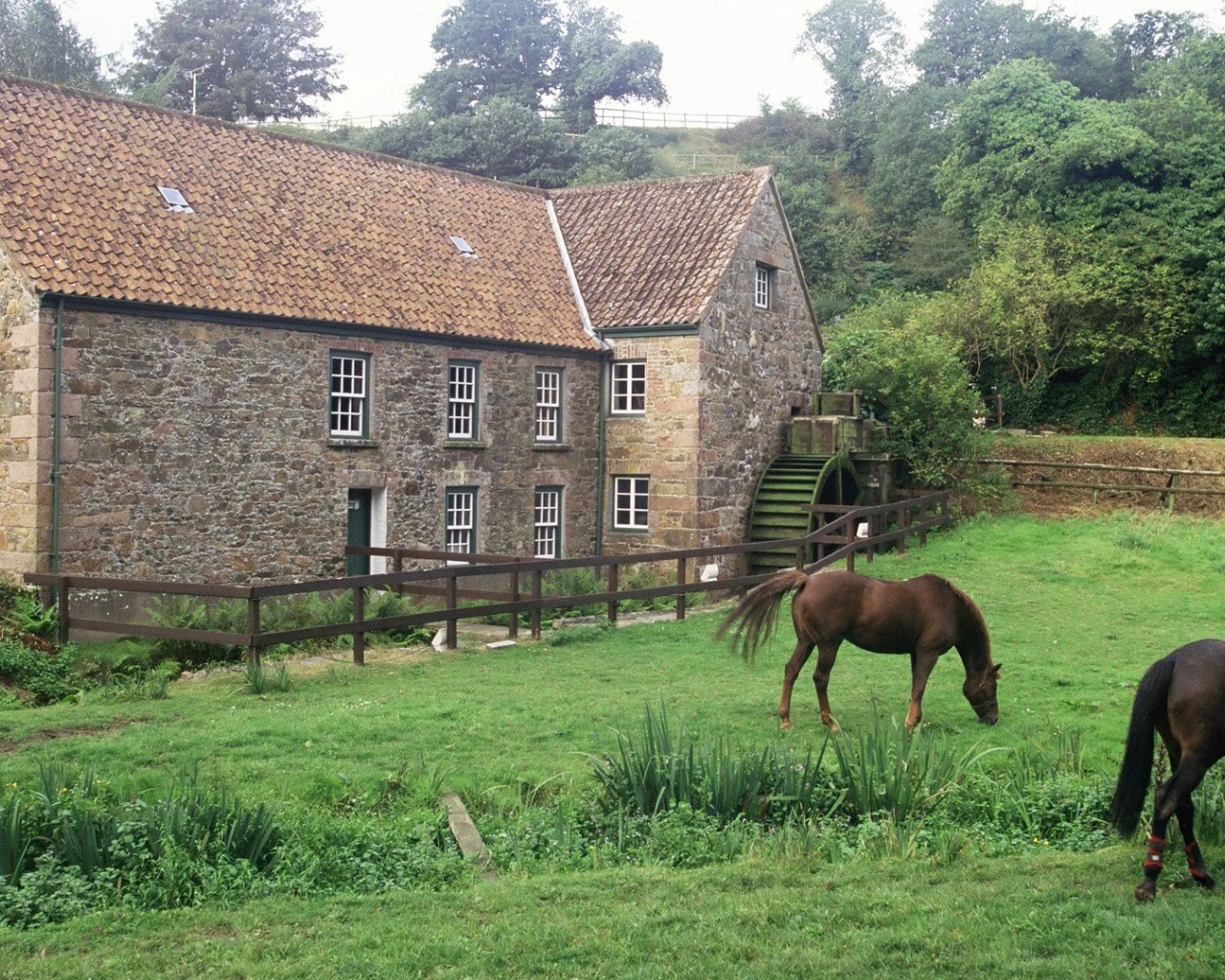 House Pasture Horse Grass Channel Islands