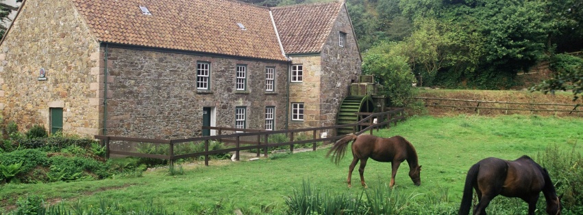 House Pasture Horse Grass Channel Islands