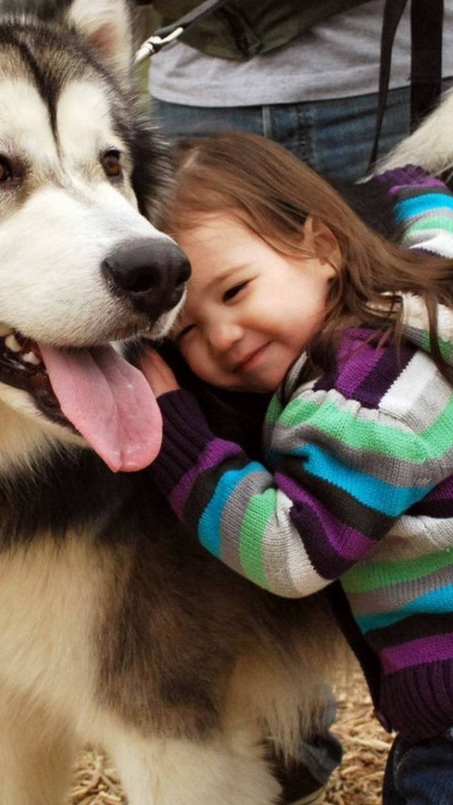 Husky And The Little Kid