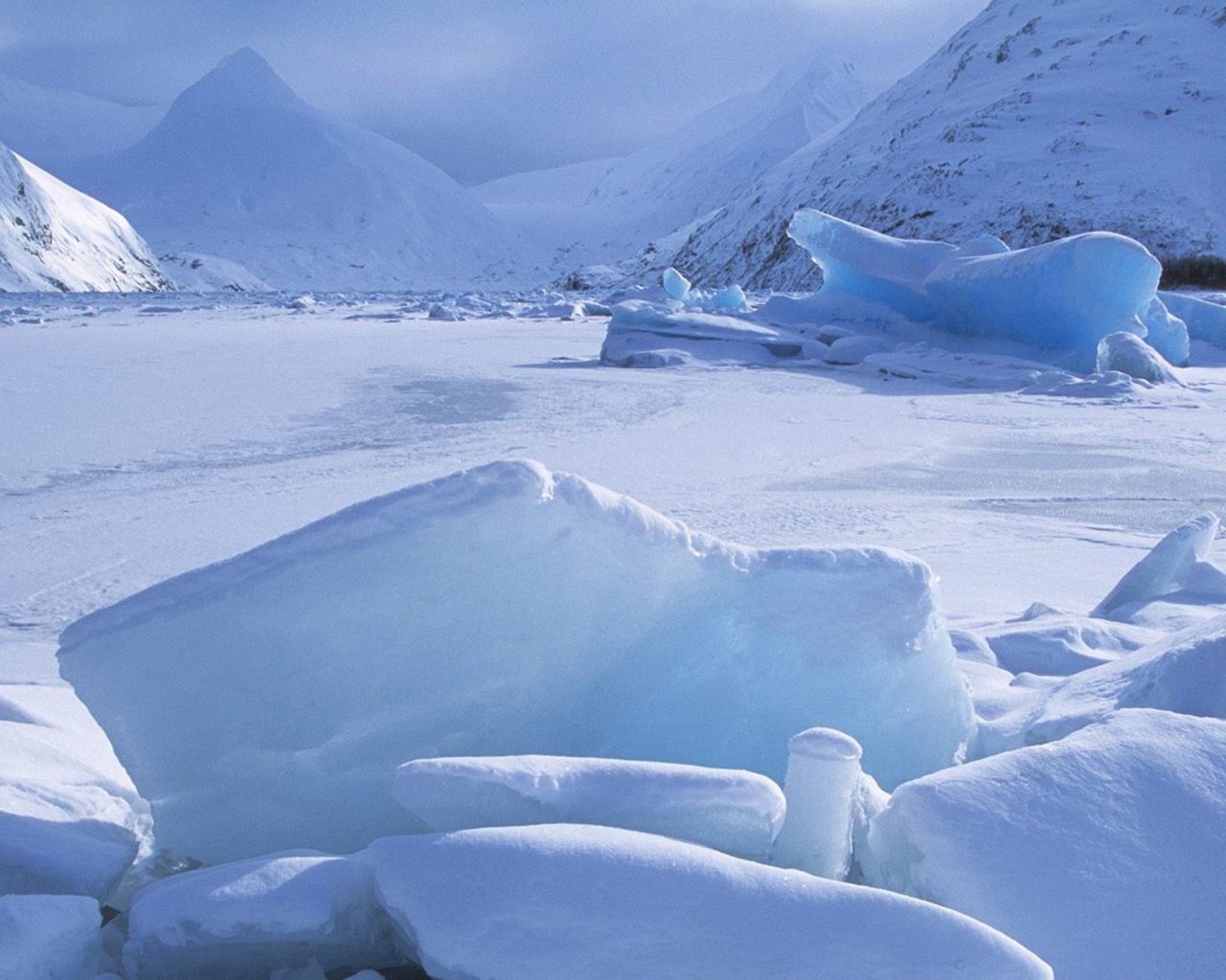 Icebergs Within A Frozen Lake Alaska