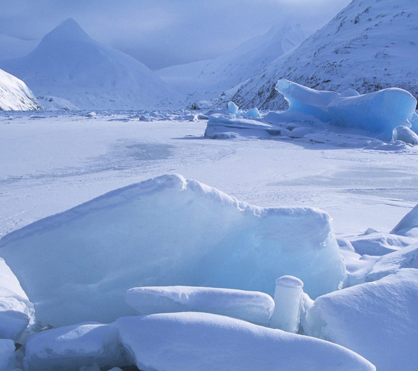 Icebergs Within A Frozen Lake Alaska