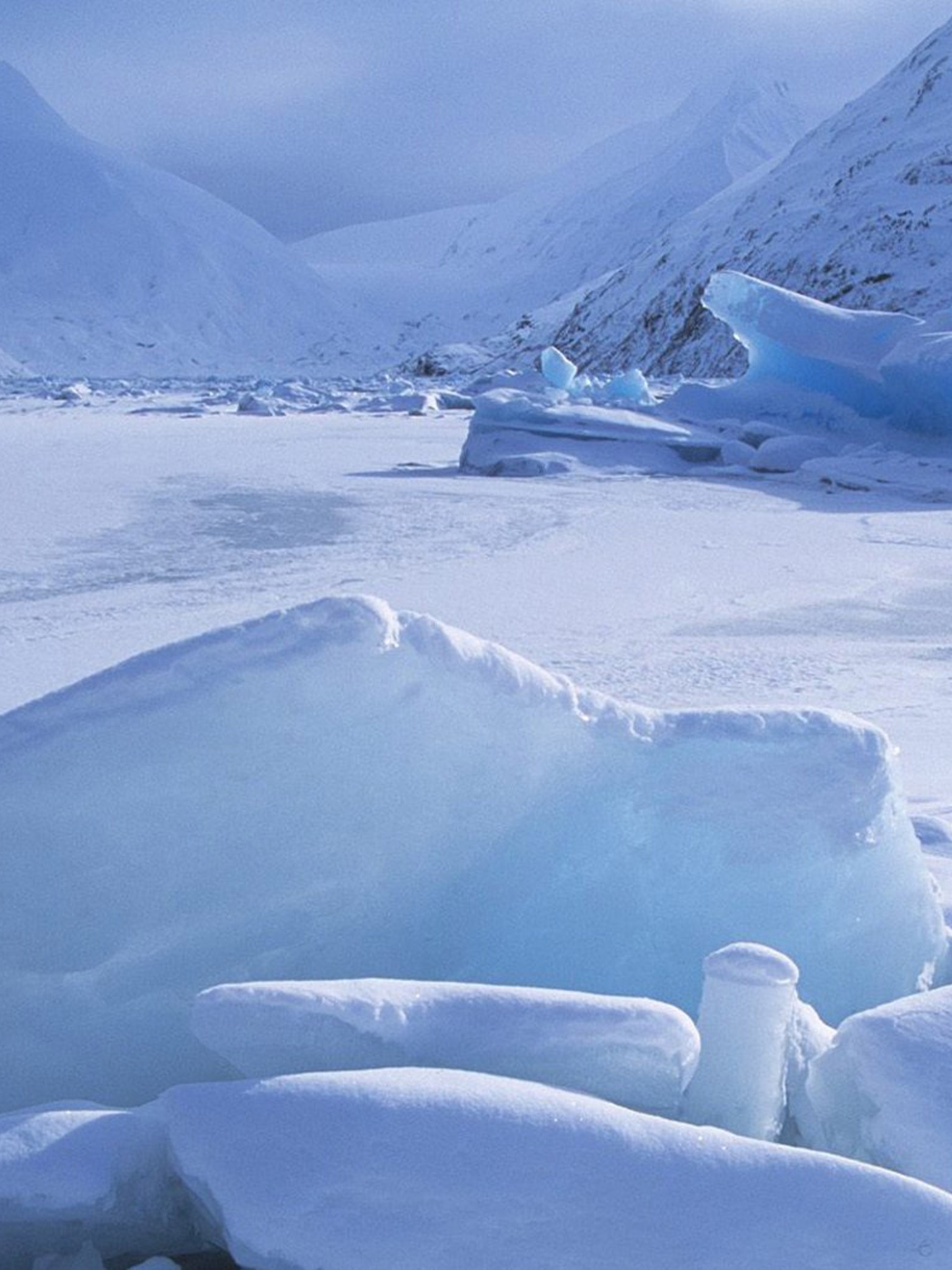 Icebergs Within A Frozen Lake Alaska