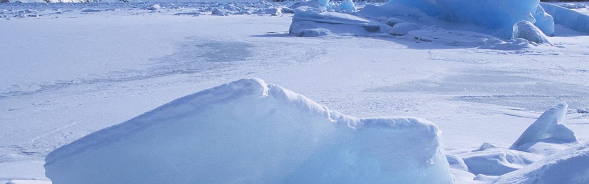 Icebergs Within A Frozen Lake Alaska