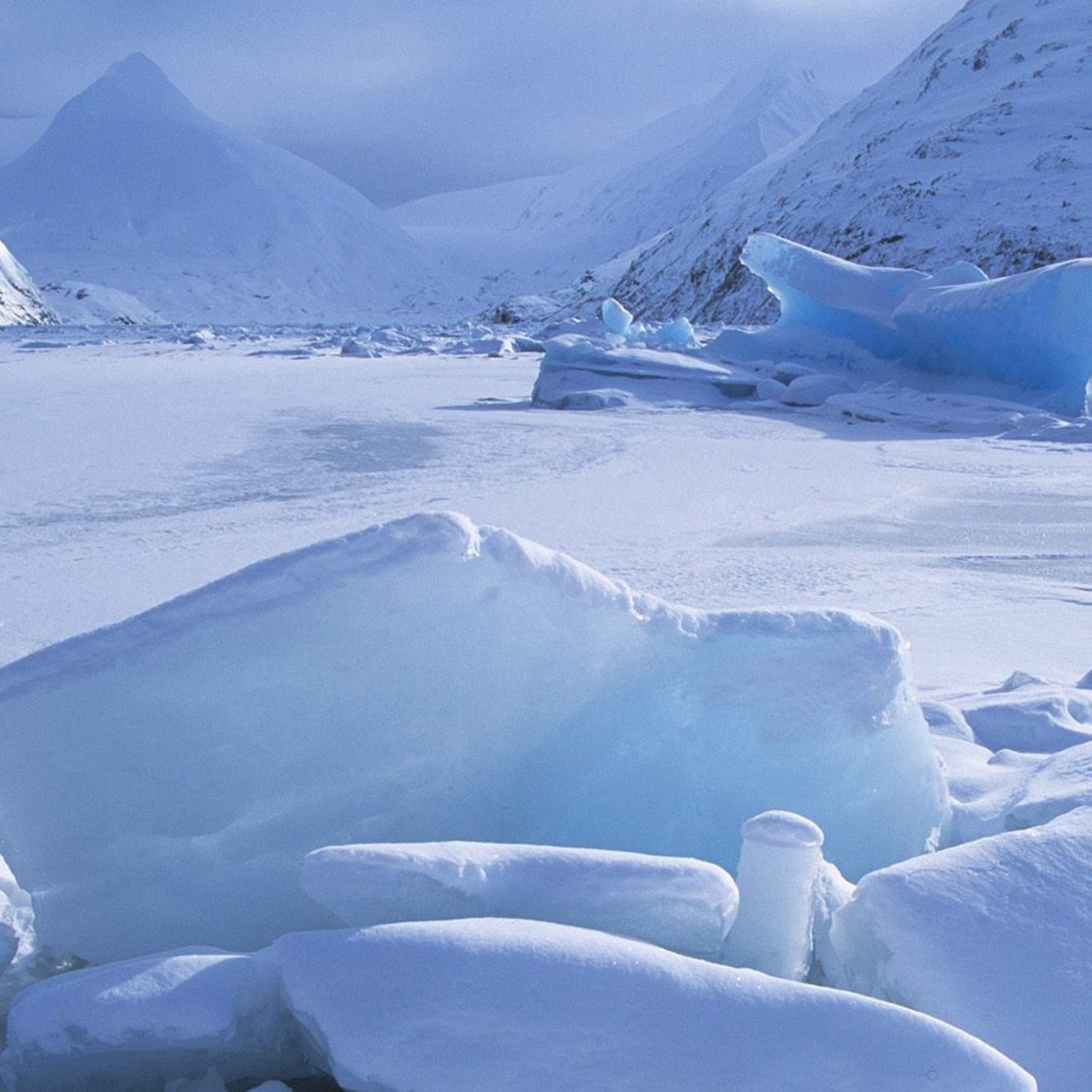 Icebergs Within A Frozen Lake Alaska