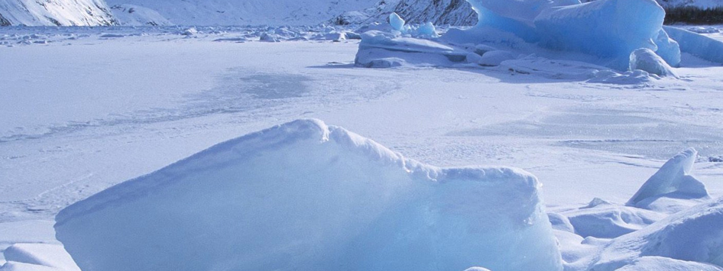 Icebergs Within A Frozen Lake Alaska