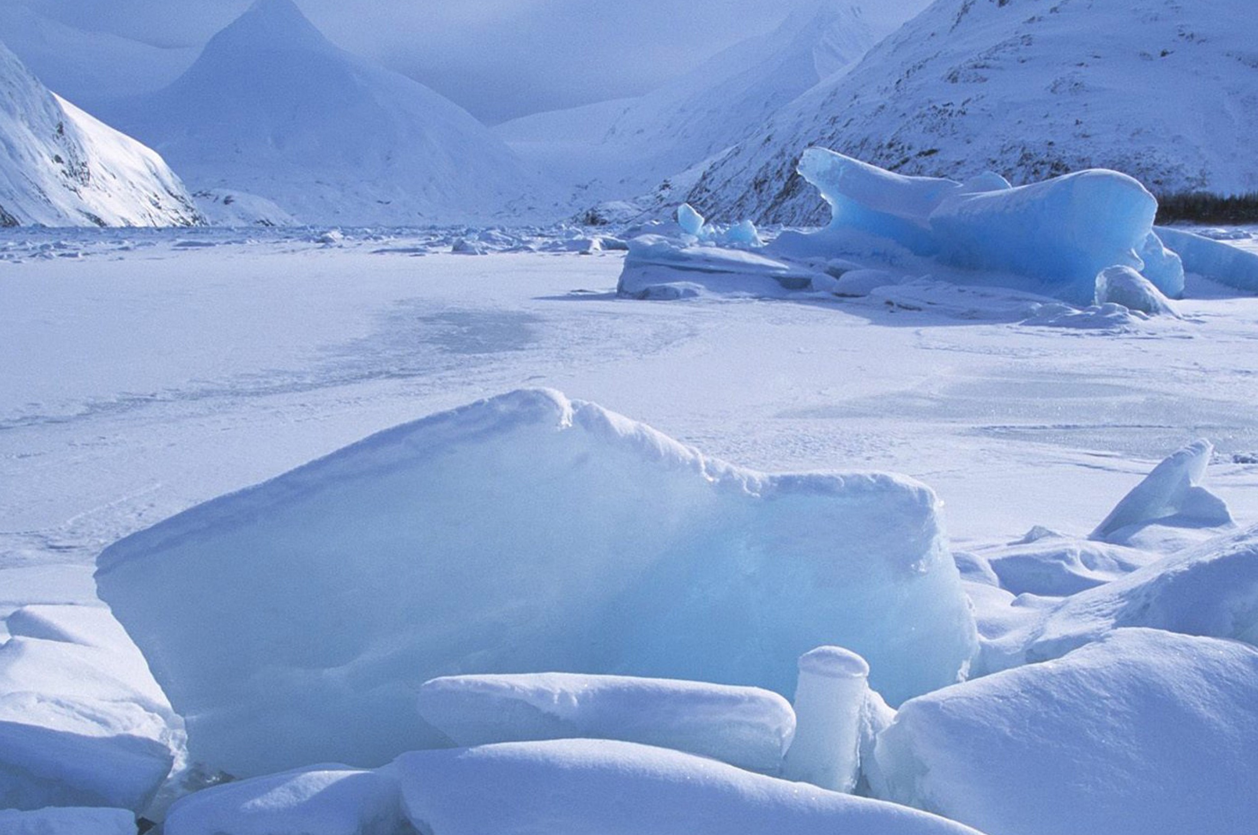 Icebergs Within A Frozen Lake Alaska