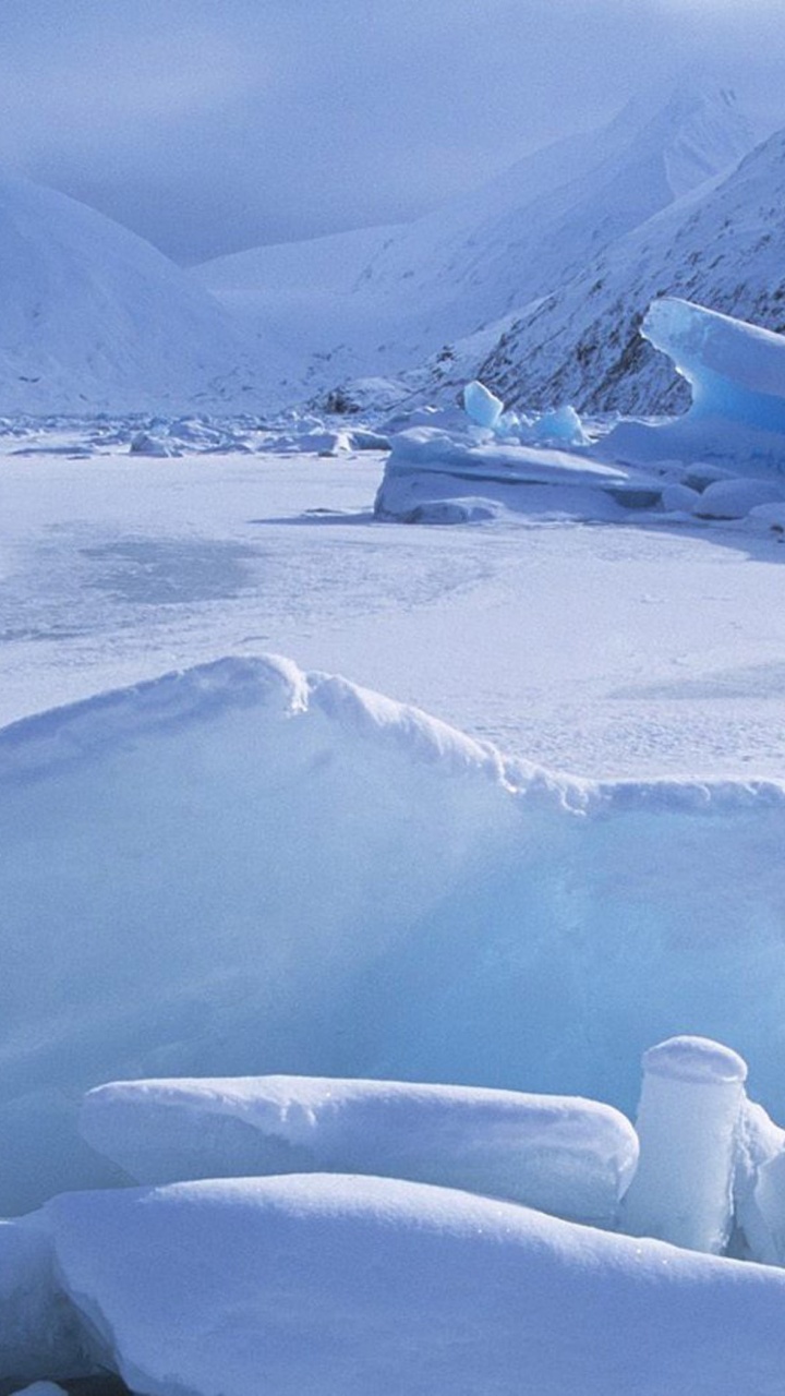 Icebergs Within A Frozen Lake Alaska