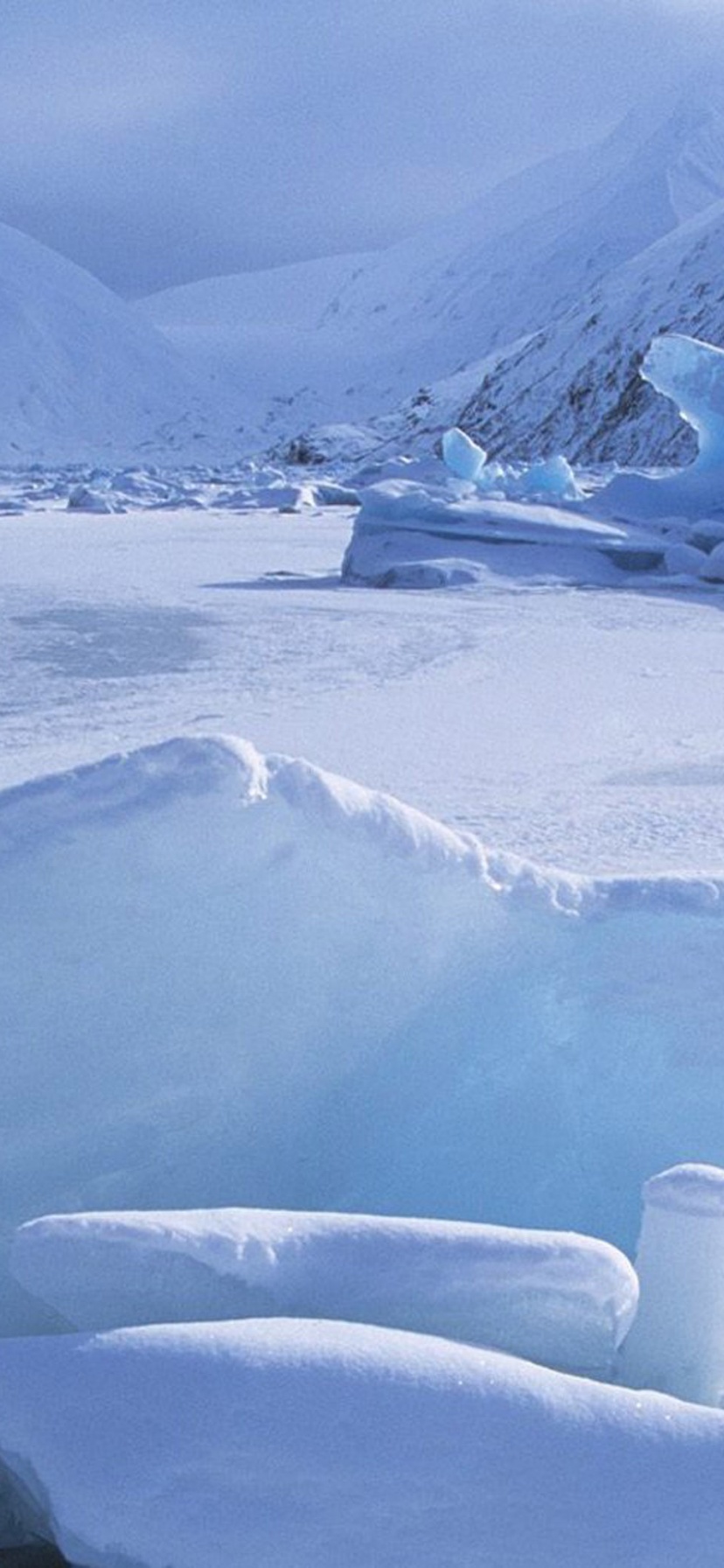 Icebergs Within A Frozen Lake Alaska