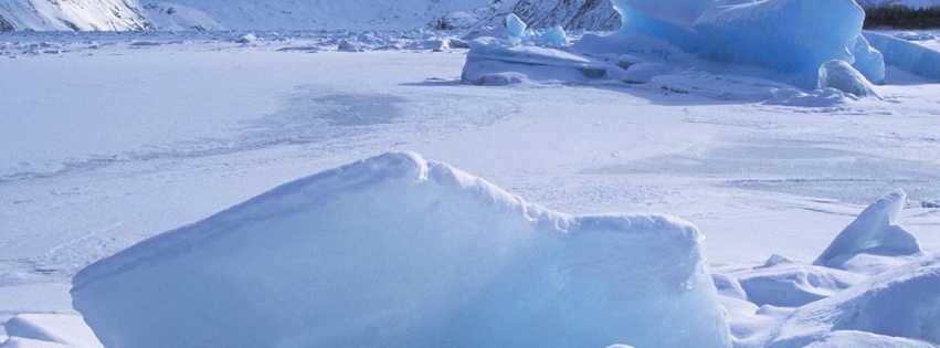 Icebergs Within A Frozen Lake Alaska