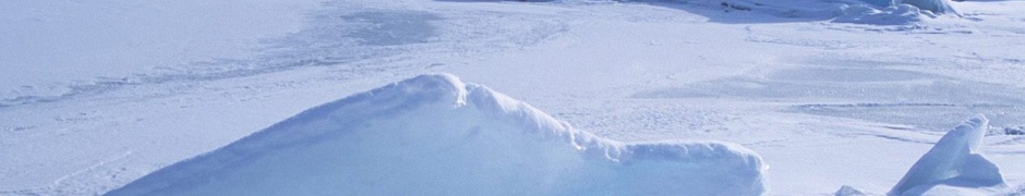 Icebergs Within A Frozen Lake Alaska