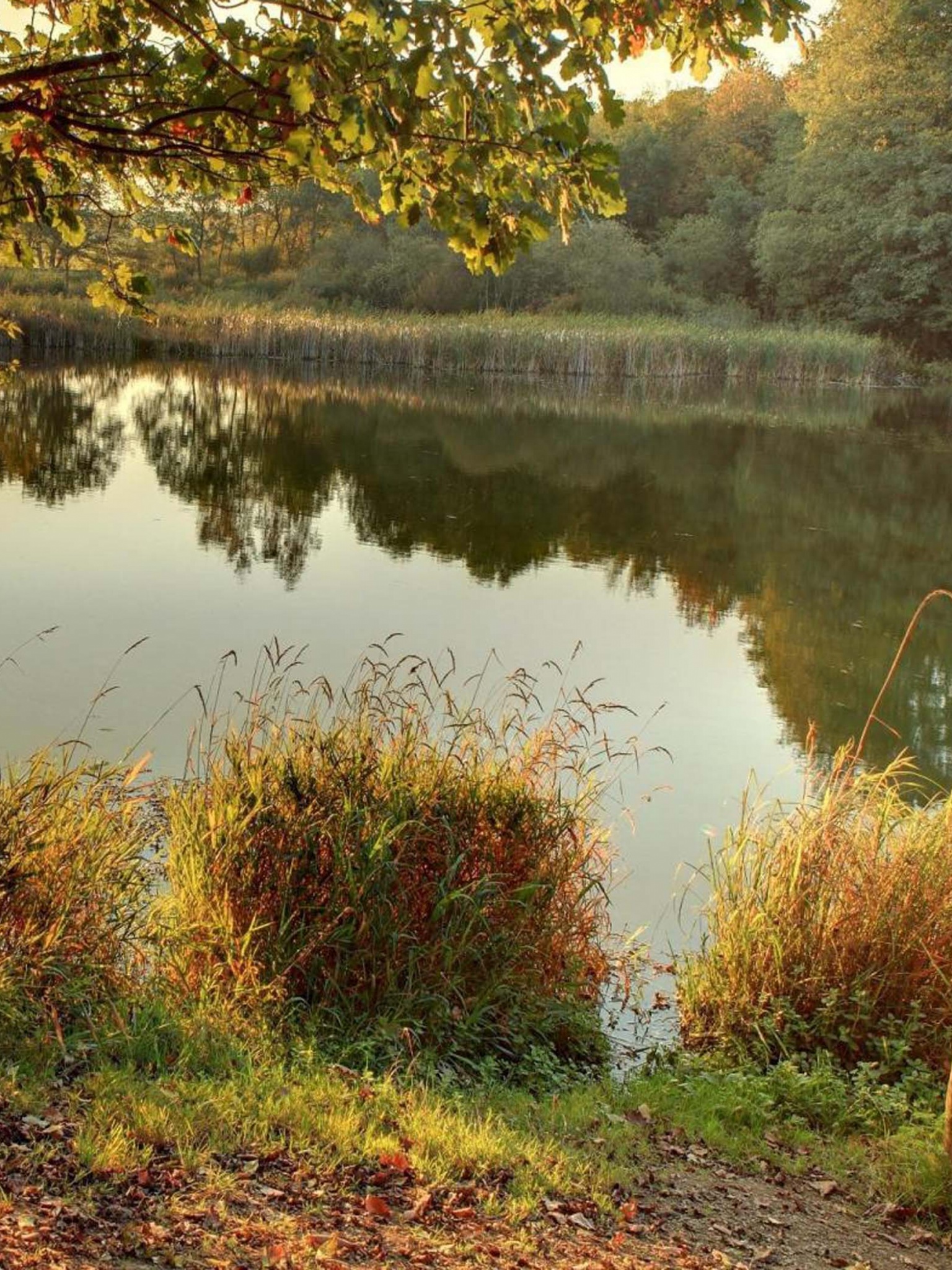 Idyll With Mermaid Holzmaar Saxler Rhineland Palatinate Germany