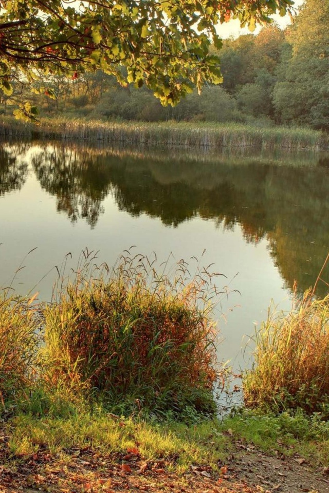 Idyll With Mermaid Holzmaar Saxler Rhineland Palatinate Germany