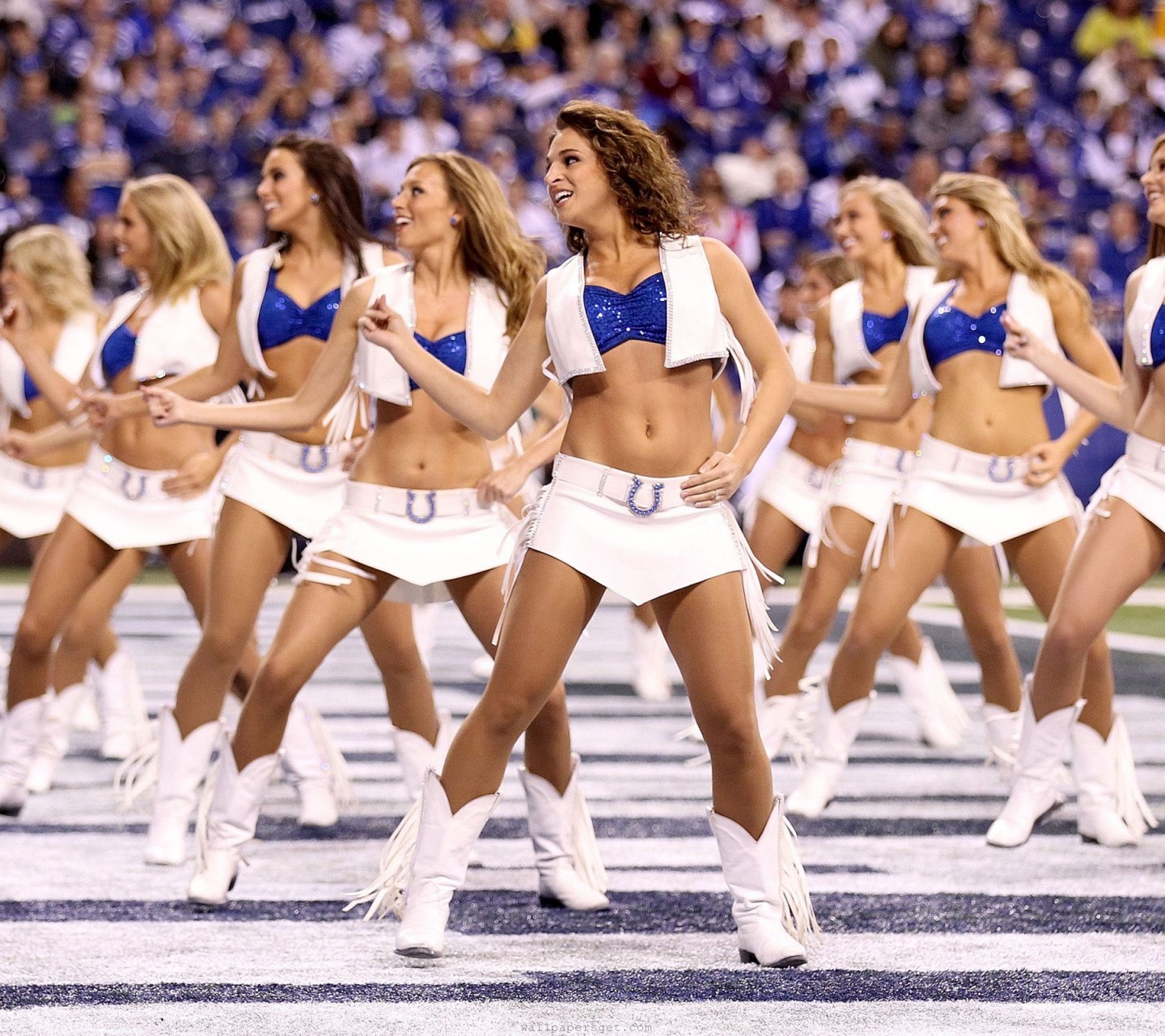 Indianapolis Colts Nfl American Football Cheerleaders