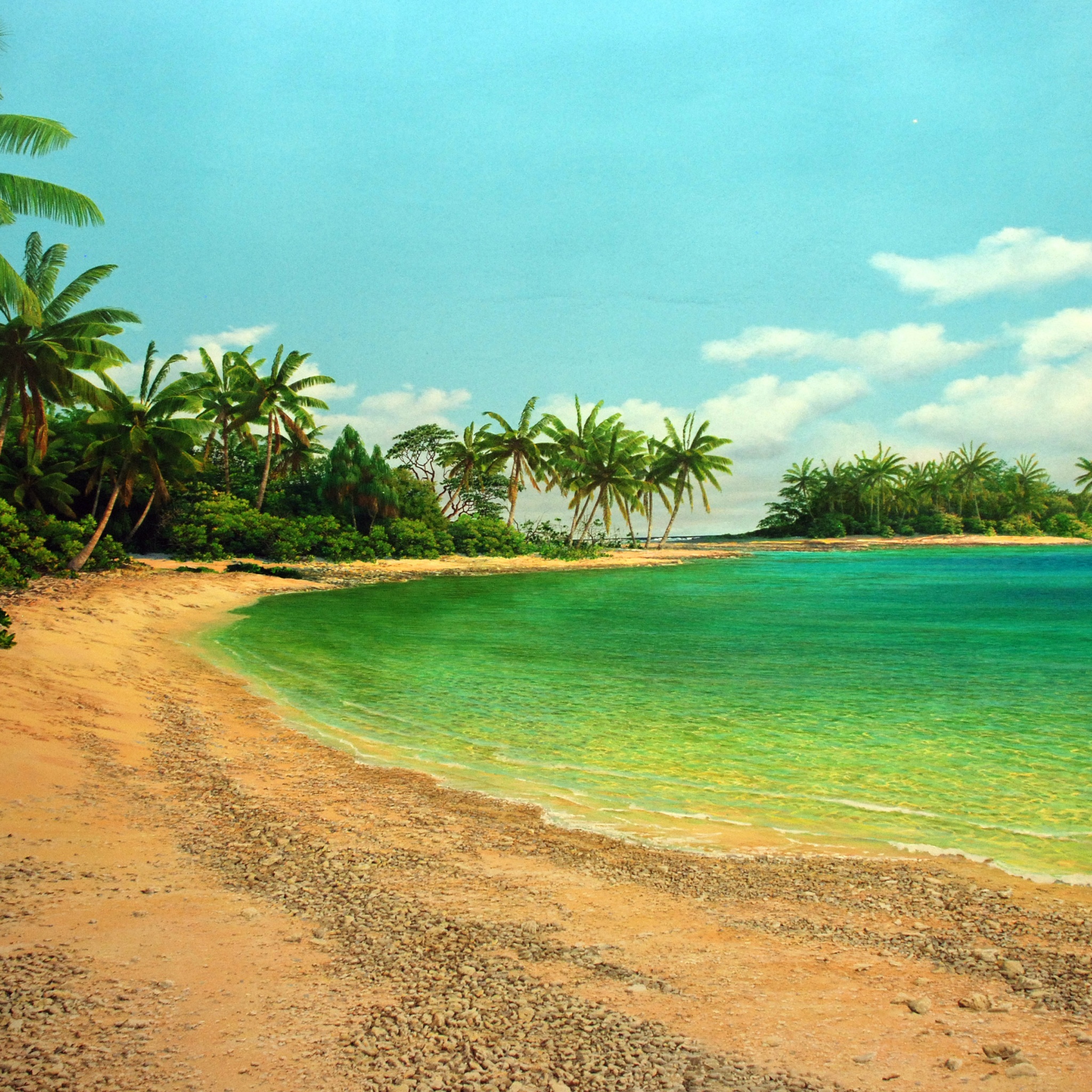 Island Sea Palms Shore Beach