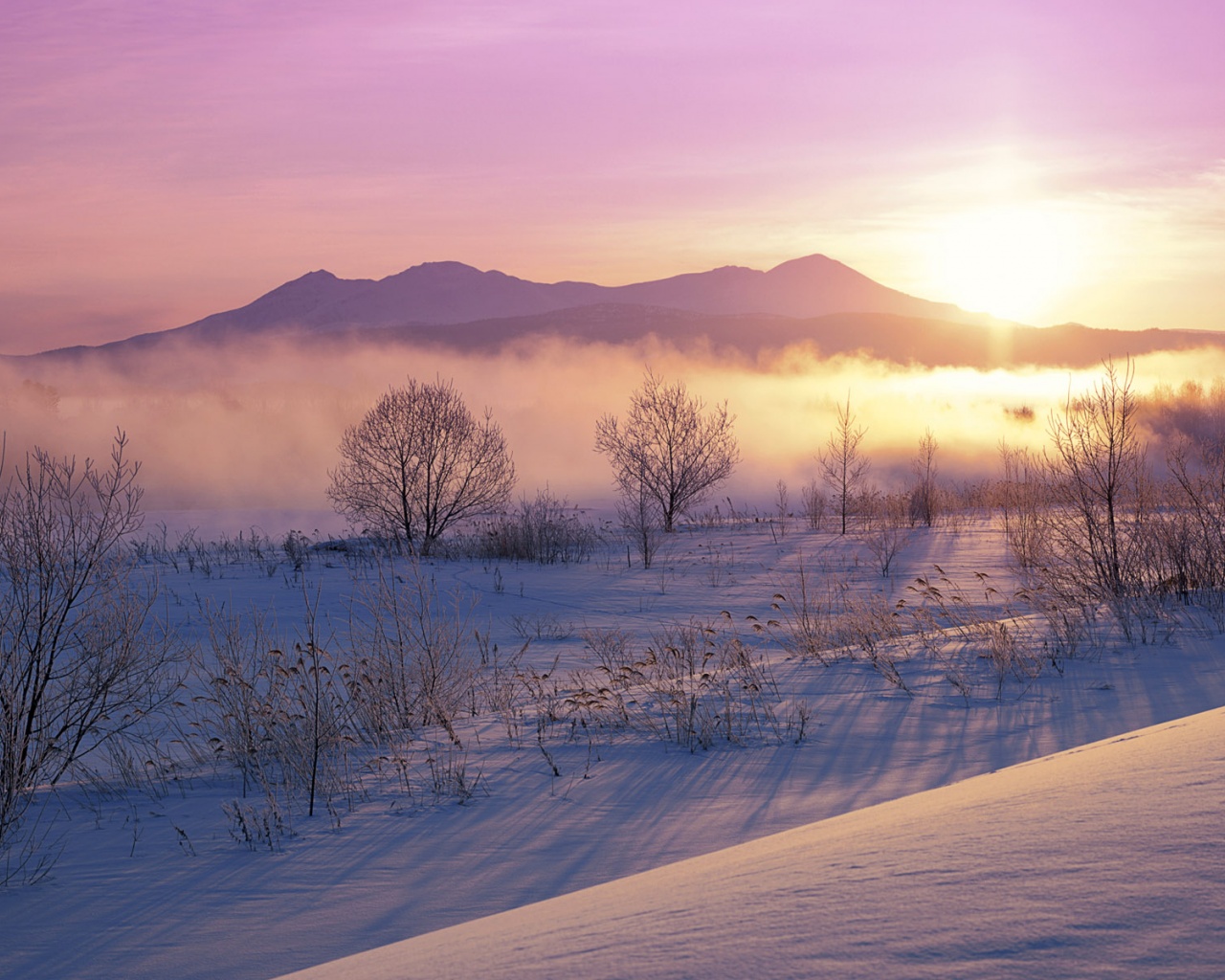 Japan Hokkaido Beauty Sunrise Nature Landscapes