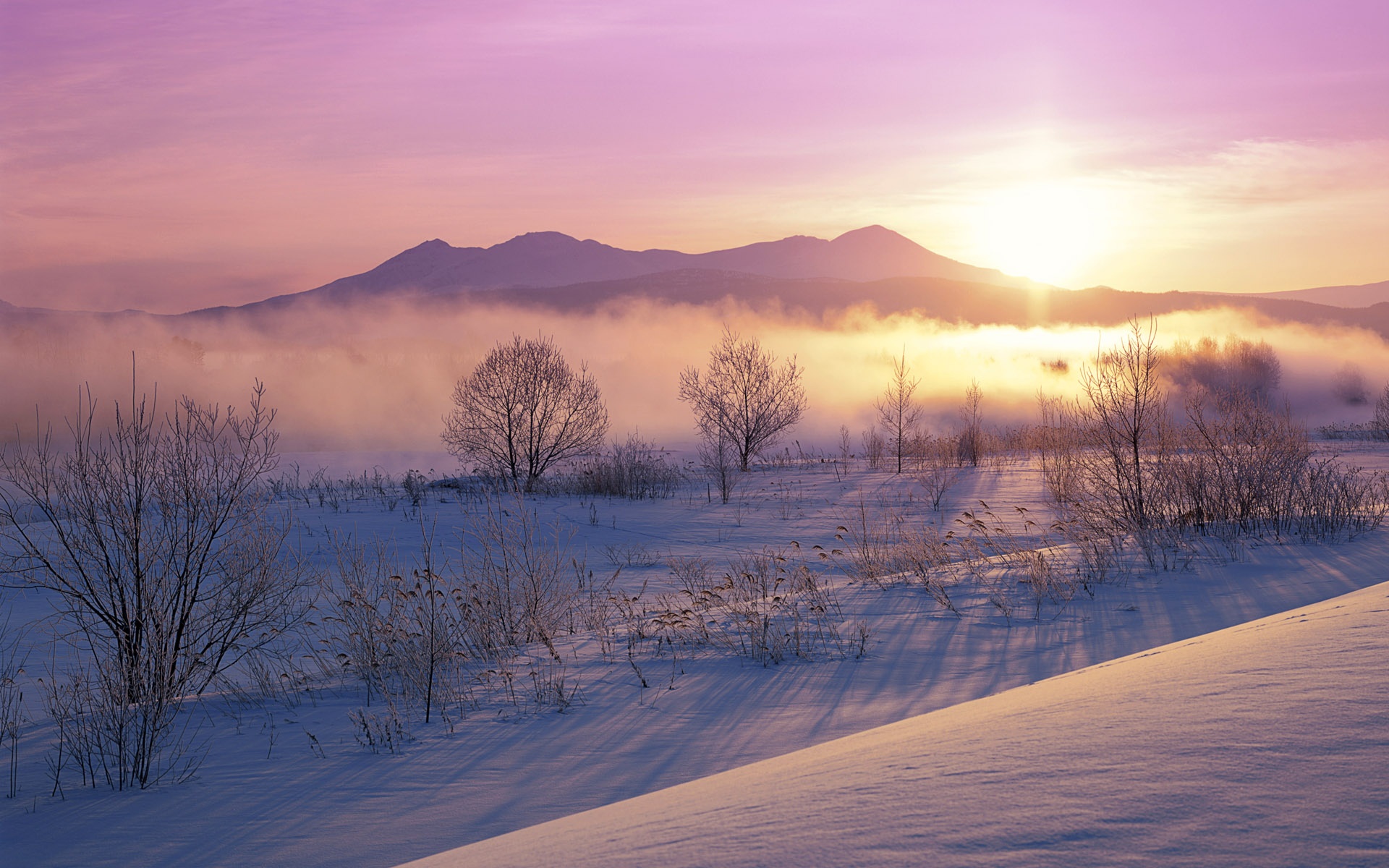 Japan Hokkaido Beauty Sunrise Nature Landscapes