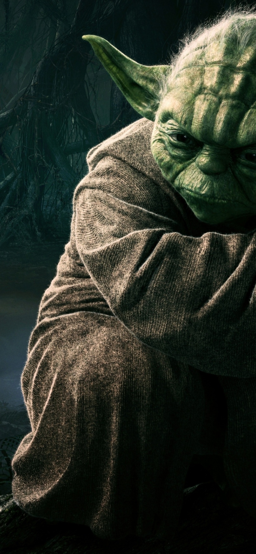 Jedi Master Yoda