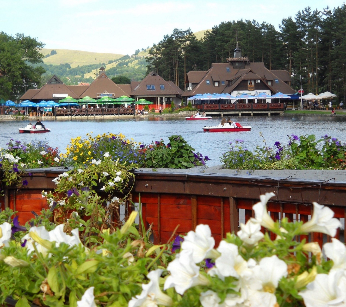 Jezero Zlatibor Central Serbia Serbia1