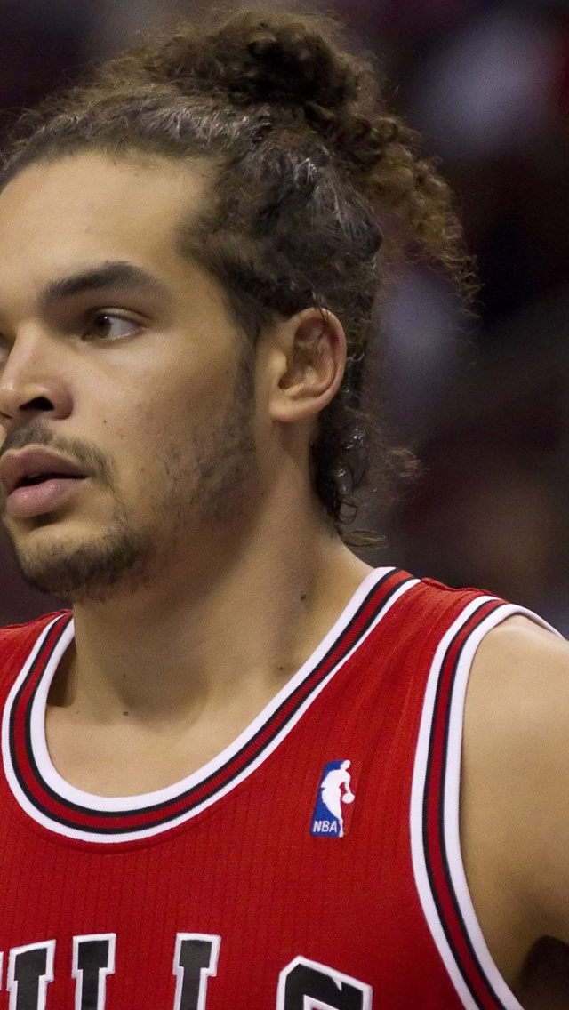 Joakim Noah