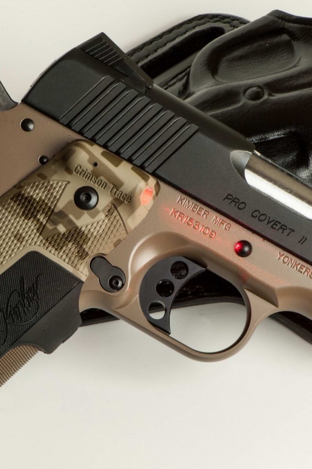 Kimber Pro Covert Ii