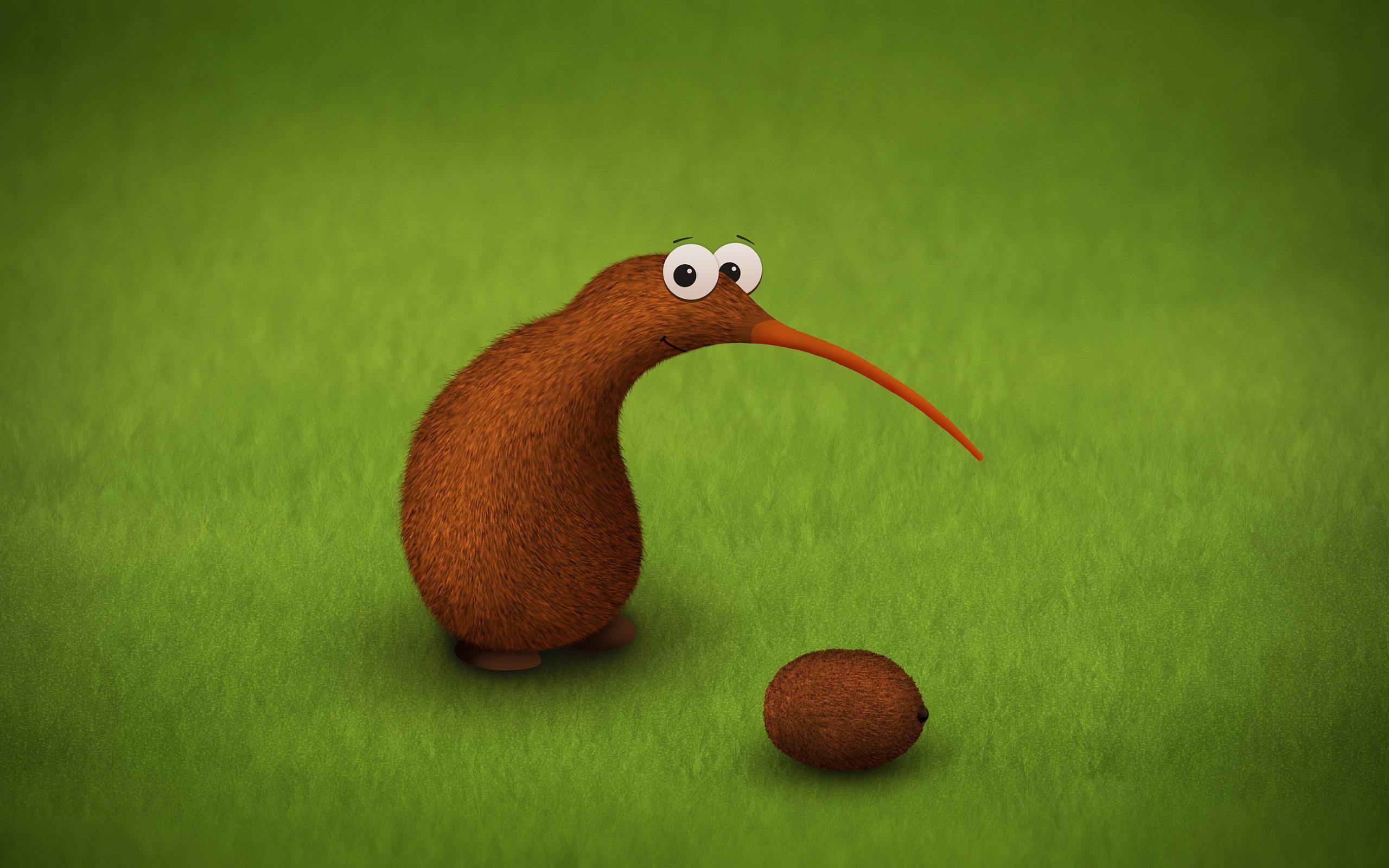 Kiwi Kiwi