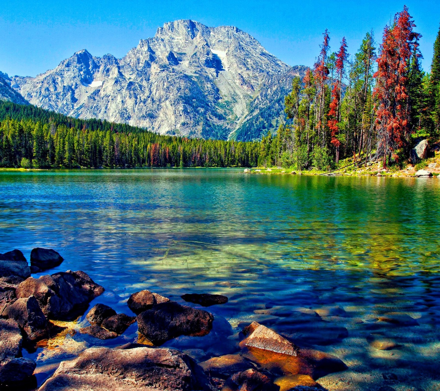 Lake And Mountains