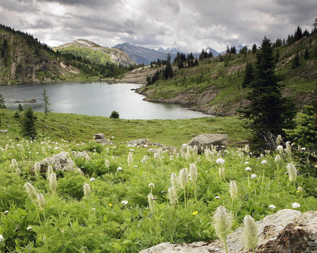 Lake Lawn Nature Landscape