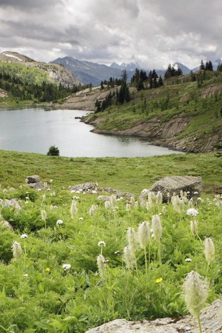 Lake Lawn Nature Landscape