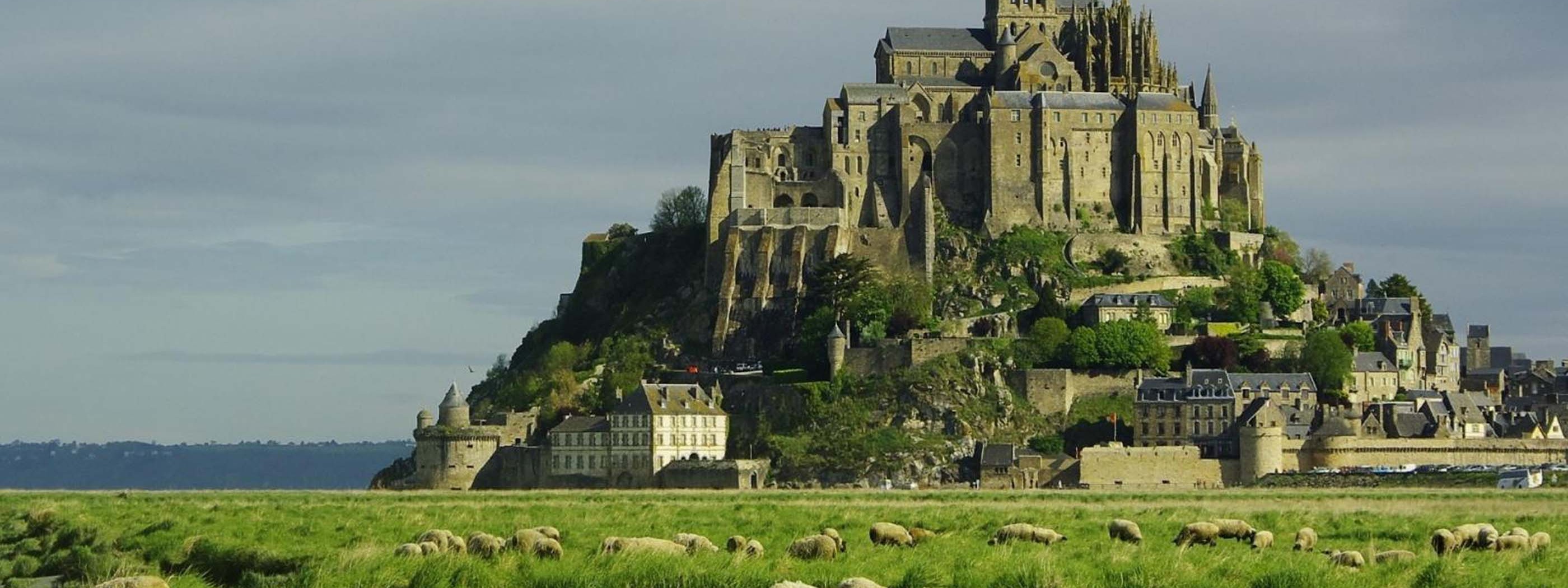 Lambs Mont Saint Michel Lower Normandy France