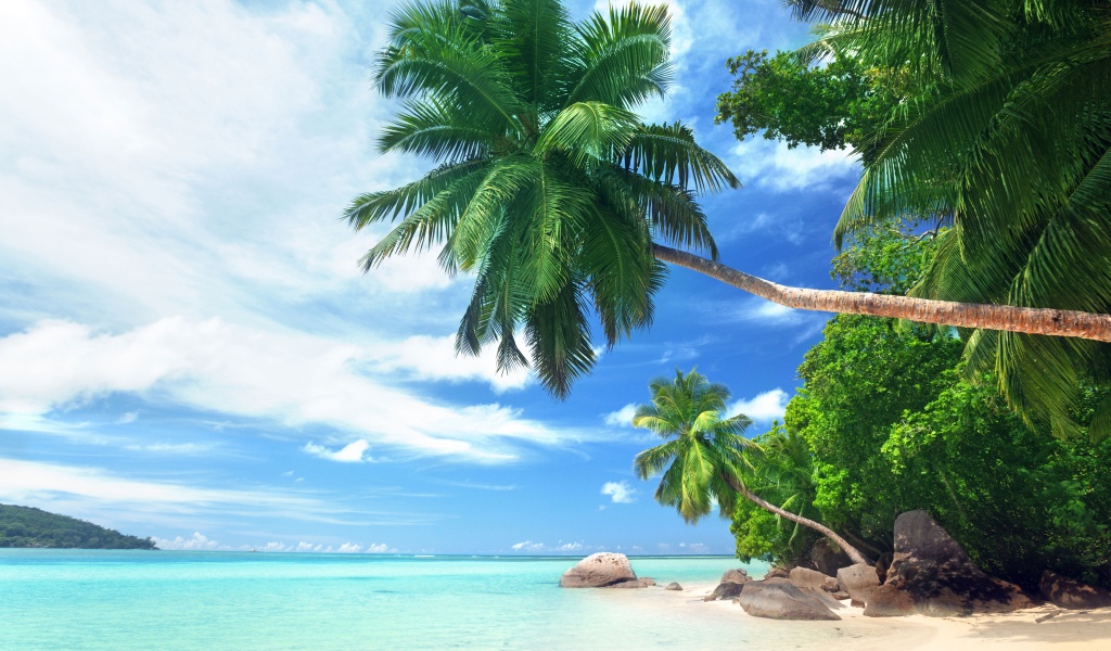 Landscape Tropical Beach And Ocean